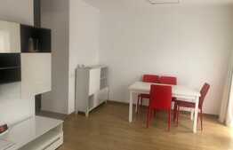 Apartament in vila, 2 camere, 54 mp, gradina 22 mp, la cheie, zona strazii Romul Ladea