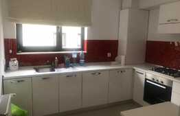 Apartament in vila, 2 camere, 54 mp, gradina 22 mp, la cheie, zona strazii Romul Ladea