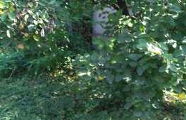 Oportunitate! De vanzare casa individuala 130 mp, teren 350 mp, front 13 ml