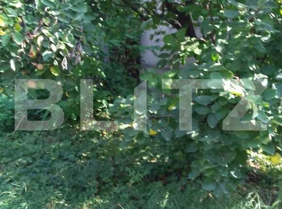 Casa de vânzare 5 camere Intre Lacuri - 33917CV | BLITZ Cluj-Napoca | Poza5