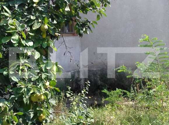 Casa de vânzare 5 camere Intre Lacuri - 33917CV | BLITZ Cluj-Napoca | Poza4