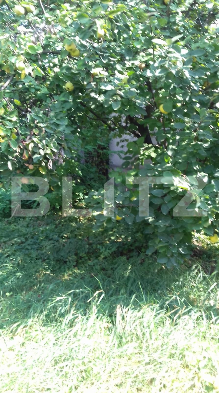 Casa de vânzare 5 camere Intre Lacuri - 33917CV | BLITZ Cluj-Napoca | Poza5