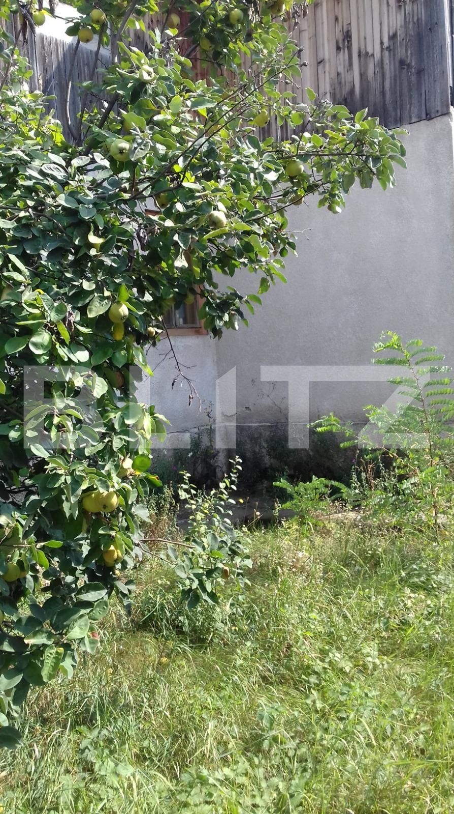 Casa de vânzare 5 camere Intre Lacuri - 33917CV | BLITZ Cluj-Napoca | Poza4