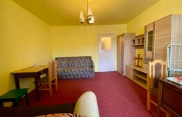 Garsoniera, 27 mp, pet-friendly, Manastur, zona strazii Parang