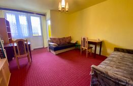 Garsoniera, 27 mp, pet-friendly, Manastur, zona strazii Parang