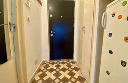 Garsoniera, 27 mp, pet-friendly, Manastur, zona strazii Parang