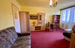 Garsoniera, 27 mp, pet-friendly, Manastur, zona strazii Parang