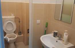 Spatiu comercial cu vad pietonal, 90 mp, zona Hotel Paradis