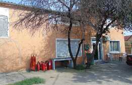 Casa cu destinatii multiple, 570 mp, teren 2294 mp, zona strazii Plevnei