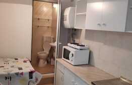 Garsoniera  30 mp, recent renovata, zona strazii Clinicilor