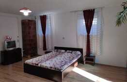 Garsoniera  30 mp, recent renovata, zona strazii Clinicilor