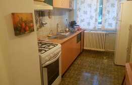 Apartament 2 camere, 45 mp, zona Piata Garii