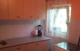 Apartament in imobil tip vila, 42 mp, Zona Centrala!