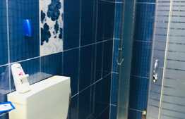 Apartament 2 camere, imobil tip casa-vila, 54 mp, zona USAMV