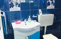 Apartament 2 camere, imobil tip casa-vila, 54 mp, zona USAMV