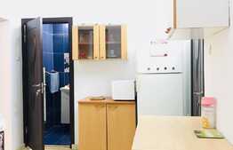 Apartament 2 camere, imobil tip casa-vila, 54 mp, zona USAMV