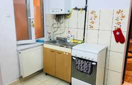 Apartament 2 camere, imobil tip casa-vila, 54 mp, zona USAMV