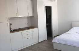 Apartament 1 camere, 32 mp, totul nou, zona ULTRACENTRALA