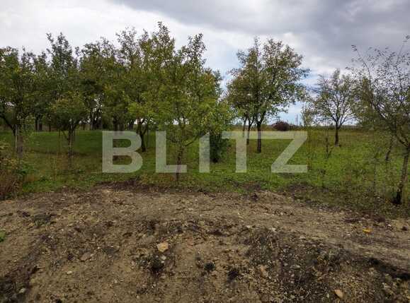 Casa de vânzare 4 camere Exterior Nord - 33982CV | BLITZ Cluj-Napoca | Poza3