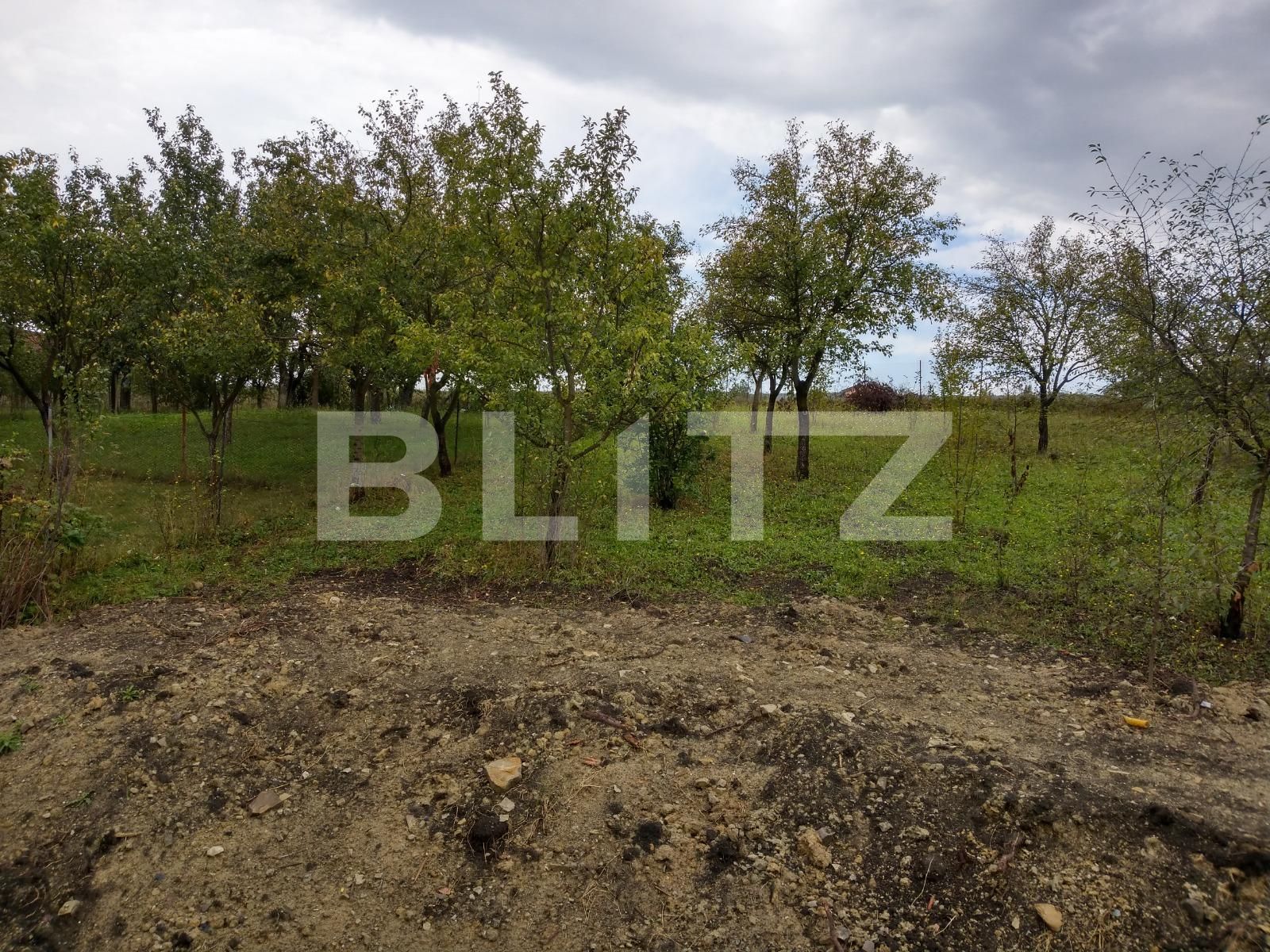 Casa de vânzare 4 camere Exterior Nord - 33982CV | BLITZ Cluj-Napoca | Poza3