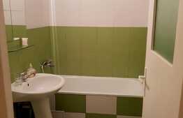 Apartament cu o camera, 45 mp, zona Iulius Mall