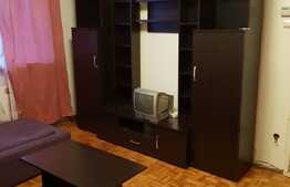 Apartament cu o camera, 45 mp, zona Iulius Mall