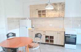 Apartament 2 camere, 70 mp, parcare, pet friendly,  zona strazii Calea Borhanciului