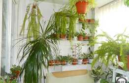 De vanzare 1 camera in zona strazii Bucegi