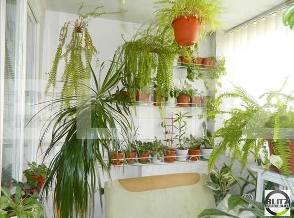 Garsonieră de vânzare Manastur - 340AV | BLITZ Cluj-Napoca | Poza6