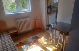 Apartament 2 camere, 30 mp, zona Politiei Rutiere