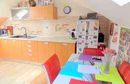 Apartament cu 2 camere, 50 mp, zona strazii Sub Cetate!