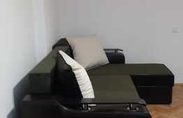 Apartament 2 camere, 50 mp, prima inchiriere, zona Parcului Farmec