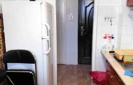 2 camere, 55 mp, recent renovat, zona strazii Albac