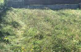 Duplex de vanzare, 82 mp, teren 330 mp, Gilau Vest!