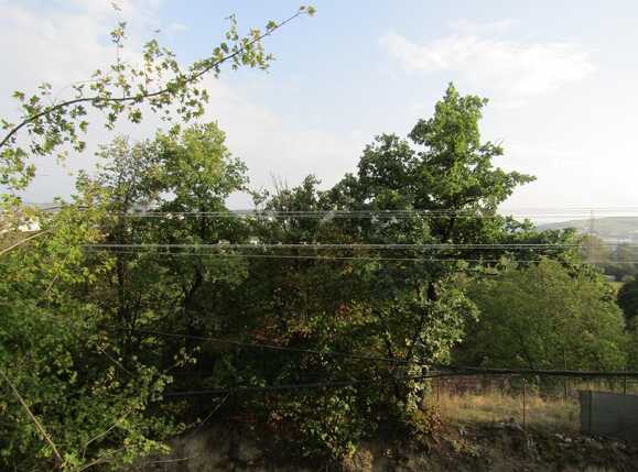 Casa de vânzare 5 camere Grigorescu - 34057CV | BLITZ Cluj-Napoca | Poza15