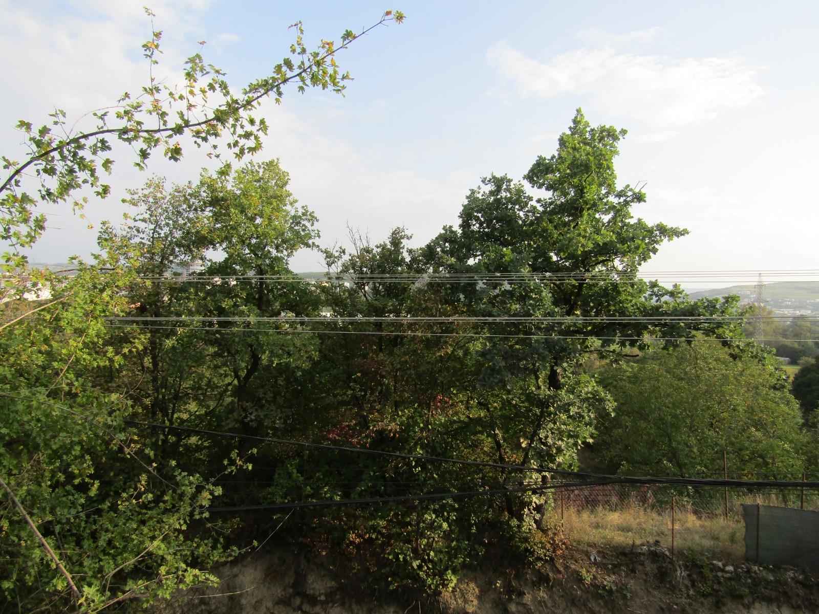 Casa de vânzare 5 camere Grigorescu - 34057CV | BLITZ Cluj-Napoca | Poza15