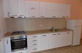 Apartament 2 camere, 50 mp, prima inchiriere, imobil nou, parcare subterana, zona strazii Calea Manastur