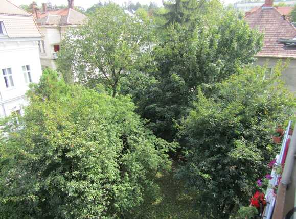 Apartament de vânzare 2 camere Central - 34100AV | BLITZ Cluj-Napoca | Poza12