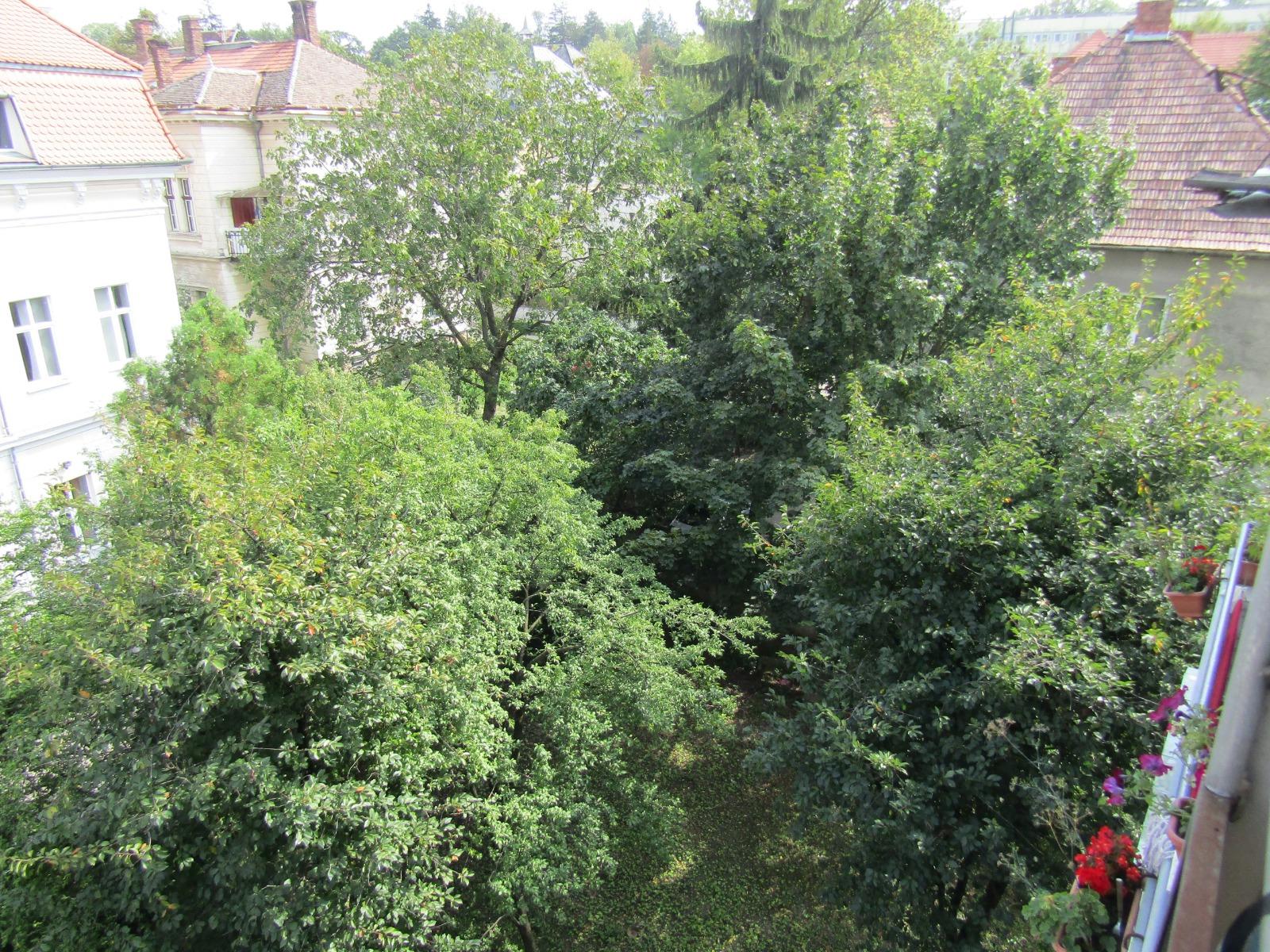 Apartament de vânzare 2 camere Central - 34100AV | BLITZ Cluj-Napoca | Poza12