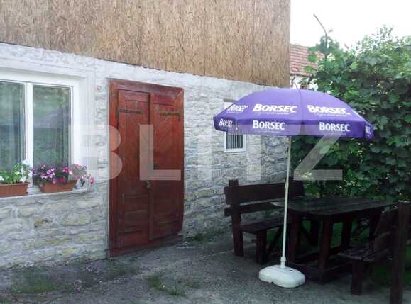 Casa de vânzare 2 camere Exterior Est - 34113CV | BLITZ Cluj-Napoca | Poza13