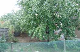 Oportunitate! Casa individuala, 135 mp, 705 mp teren, zona exclusivista de case!