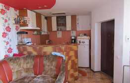 Apartament cu 2 camere, 37 mp, terasa 42 mp, zona strazii Constantin Brancusi