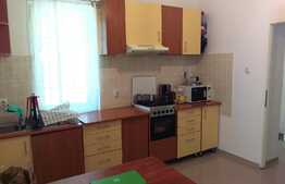 Apartament in imobil de tip casa, gradina de 98 mp! zona strazii Horea