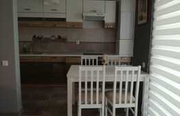 Apartament cu 2 camere, 60 mp, prima inchiriere, mobilat lux, parcare, terasa 24 mp, zona FSEGA