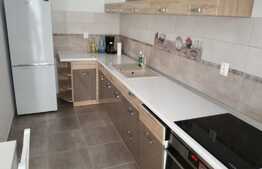 Apartament cu 2 camere, 60 mp, prima inchiriere, mobilat lux, parcare, terasa 24 mp, zona FSEGA