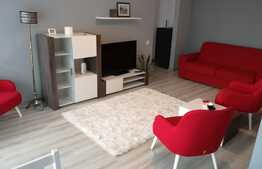 Apartament cu 2 camere, 60 mp, prima inchiriere, mobilat lux, parcare, terasa 24 mp, zona FSEGA