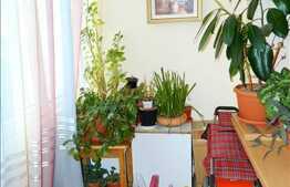 Apartament cu 3 camere, decomandat, 53 mp, zona Parcul Babes