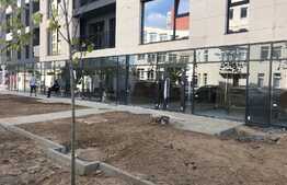 Spatiu elegant, inchiriat, pentru investitie. 