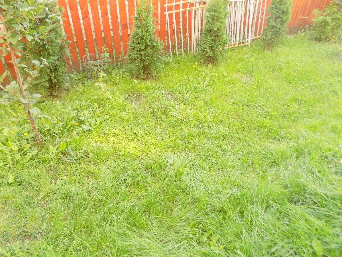 Garsonieră de vânzare Floreşti - 34182AV | BLITZ Cluj-Napoca | Poza13