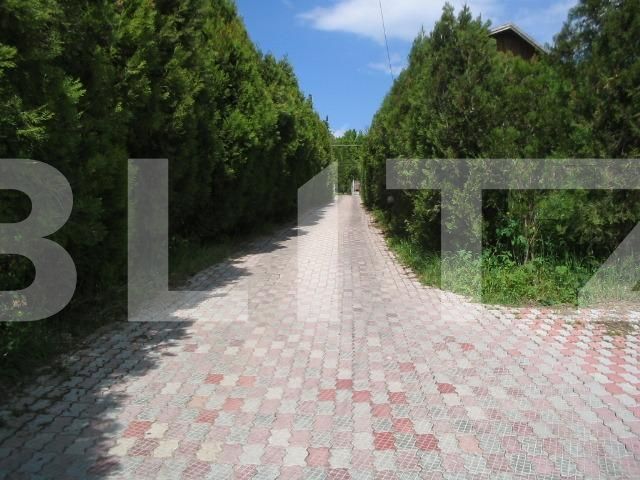 Spațiu comercial de vânzare Gruia - 34183SVC | BLITZ Cluj-Napoca | Poza7